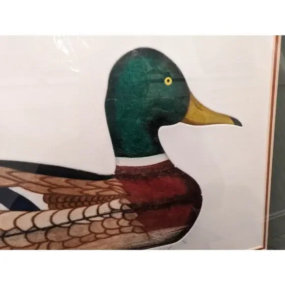 Arthur Nevin Art - Mallard Duck DRAKE DECOY. North BARNEGAT - Etched/Signed